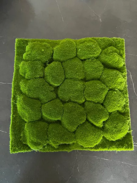 12 x 12 Bumpy Moss Mat by … curated on LTK